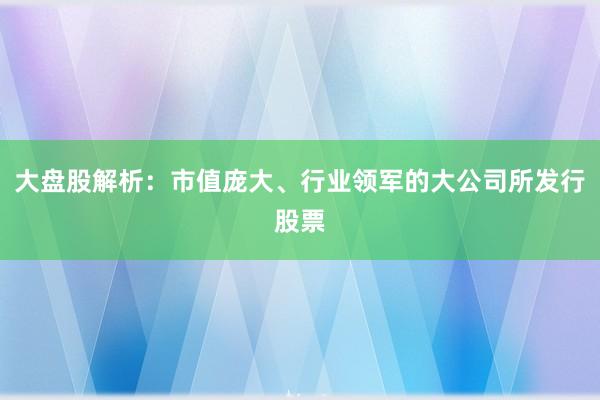 大盘股解析：市值庞大、行业领军的大公司所发行股票