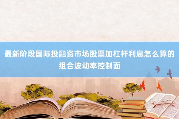 最新阶段国际投融资市场股票加杠杆利息怎么算的组合波动率控制面