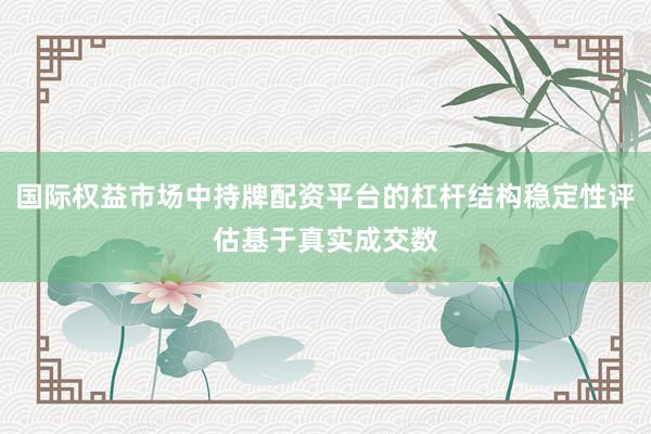 国际权益市场中持牌配资平台的杠杆结构稳定性评估基于真实成交数