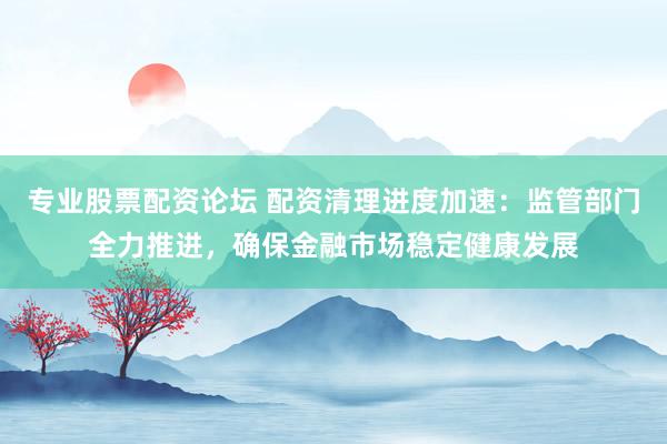 专业股票配资论坛 配资清理进度加速:监管部门全力推进,确保金融市场稳定健康发展