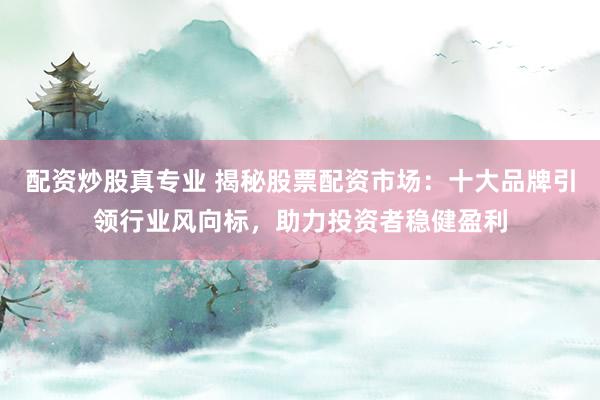 配资炒股真专业 揭秘股票配资市场：十大品牌引领行业风向标，助力投资者稳健盈利