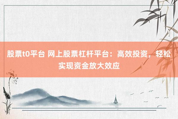 股票t0平台 网上股票杠杆平台：高效投资，轻松实现资金放大效应